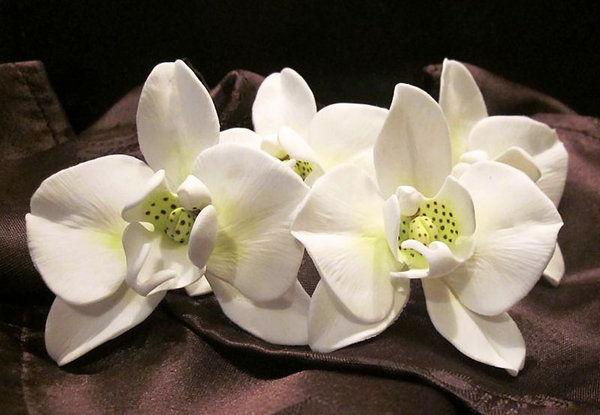 von Elisabeth aus Niederösterreich - zauberhafte weiße Phaleanopsis Orchideen - verwendet wurde der Ausstecher Phaleanopsis M\\n\\n14.06.2011 07:11